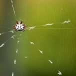 金衡资讯图表技术编辑陈立航在编辑部工位前的正面工作照